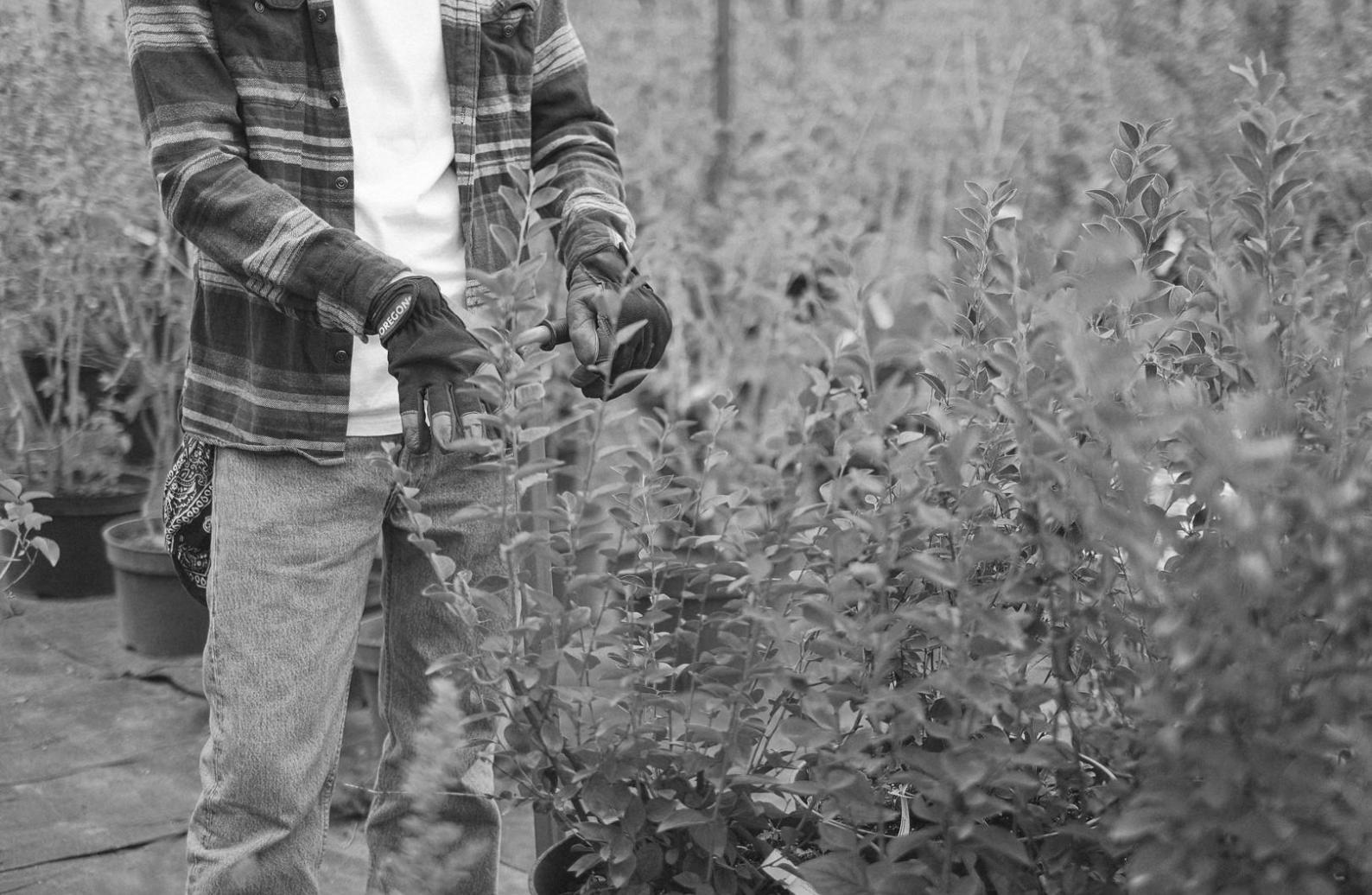 Процесс создания флористической композиции